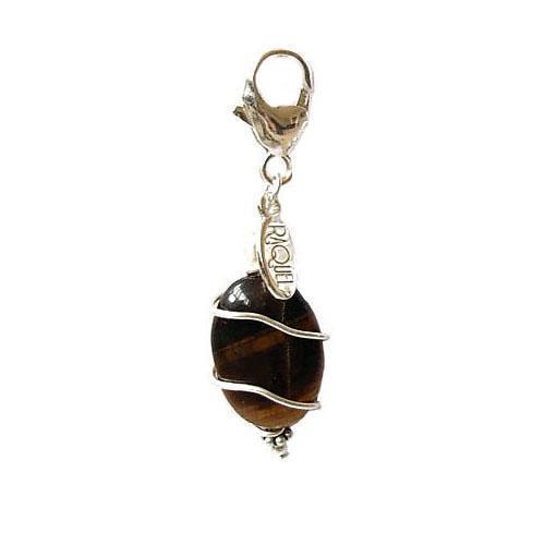 Tiger Eye Healing Dog Collar Charm Oval Pawmulet