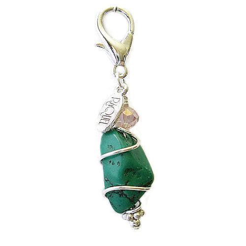 Turquoise Nugget Healing Dog Collar Charm Pawmulet
